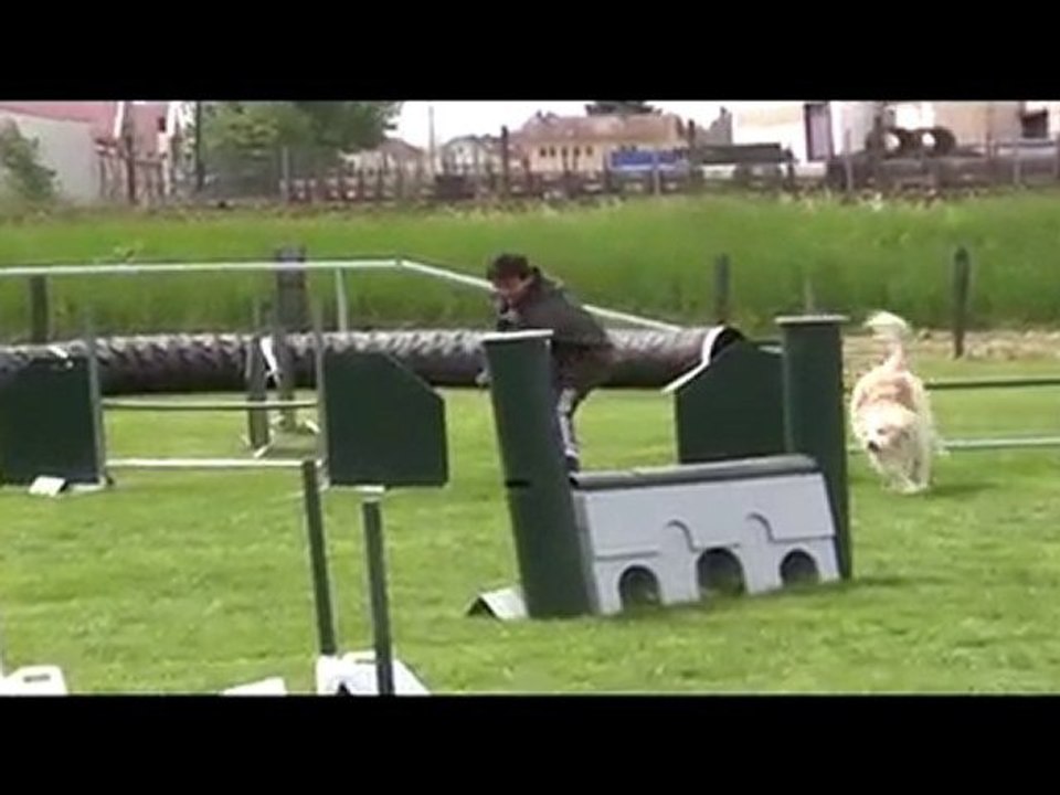 Salsa Jumping Agility Peronnas 13/05/2010