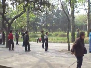 Temple du Ciel Beijing - Danse matinale