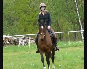 cours dress partie 2