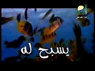 دعاء بصوت الشيخ محمد حسان حفظه الله