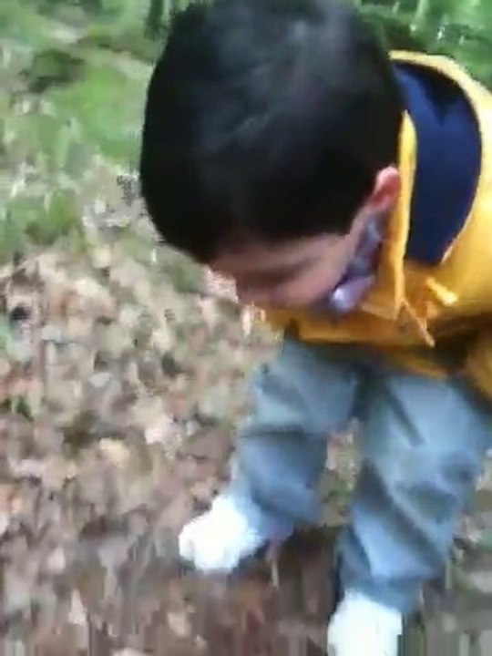 en foret