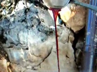 Pekmez Yapımı ve Siparişi / Andız Pekmezi - [Anamur]