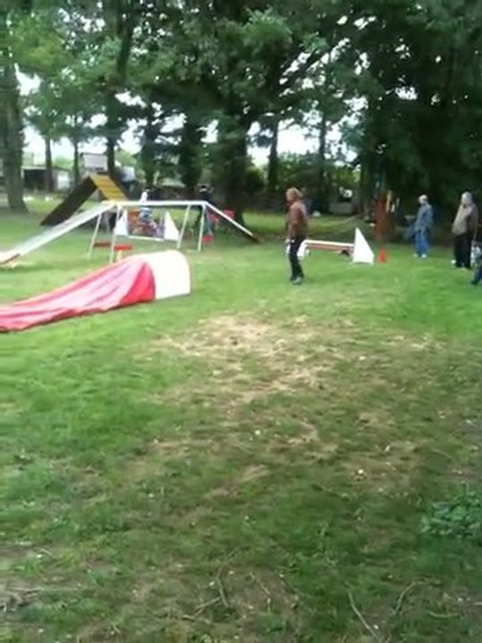 Début Agility Câline