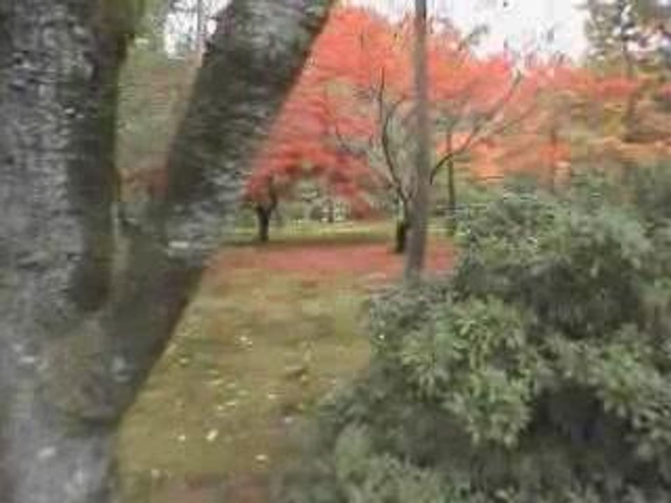 nihon