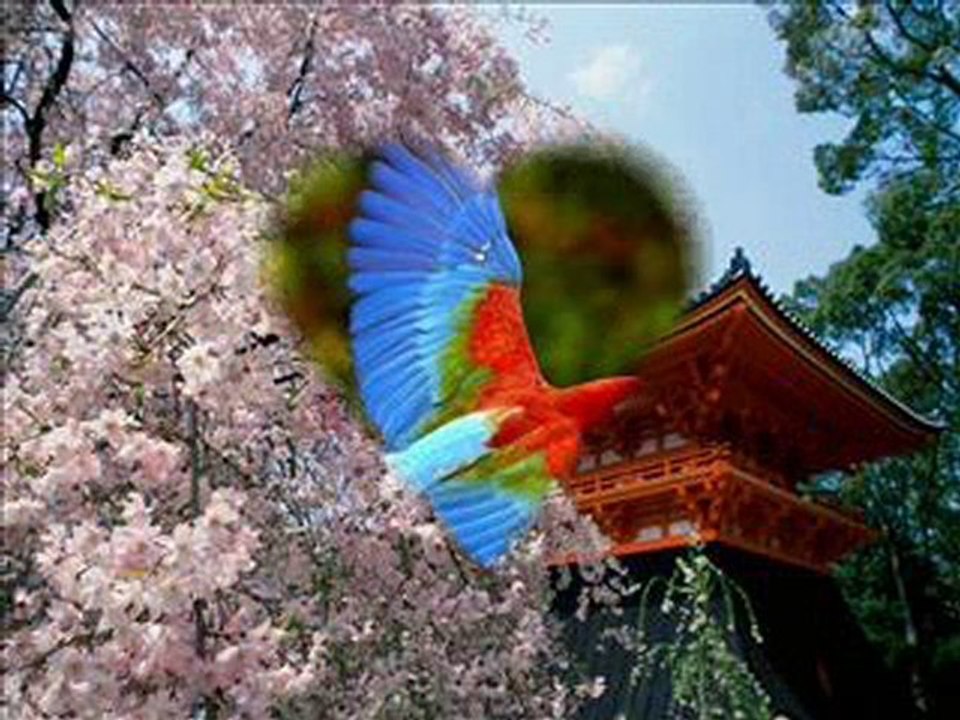 La clé des songes....