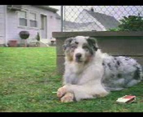 etme bulma Dünyası