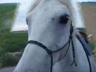 Balade avec Mario 15.05.10