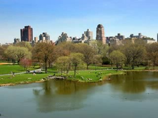 Arbria: The New York city guide