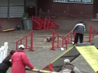 La madeleine 2010.AVI