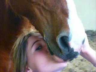 bande annonce canal poun's