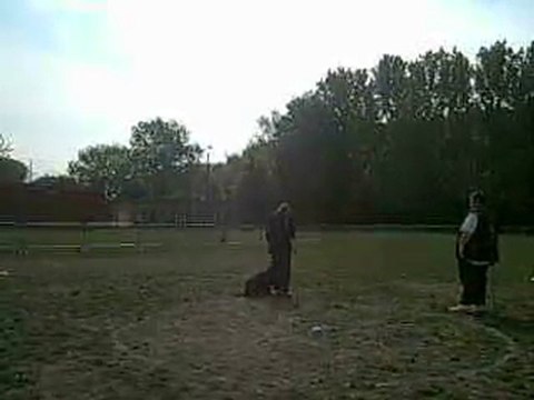 Concours obéissance Nourse 2