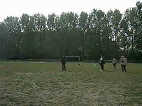 Concours obéissance Nourse 4