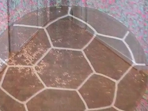 Gulvbehandling Fyn Odense N Prima Gulve