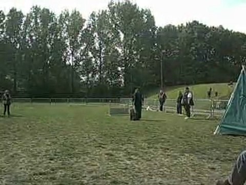 Concours obéissance Nourse 5