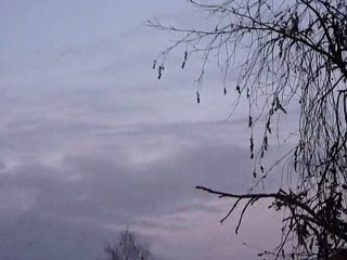 Balai d'oiseau dans le ciel de Tannois