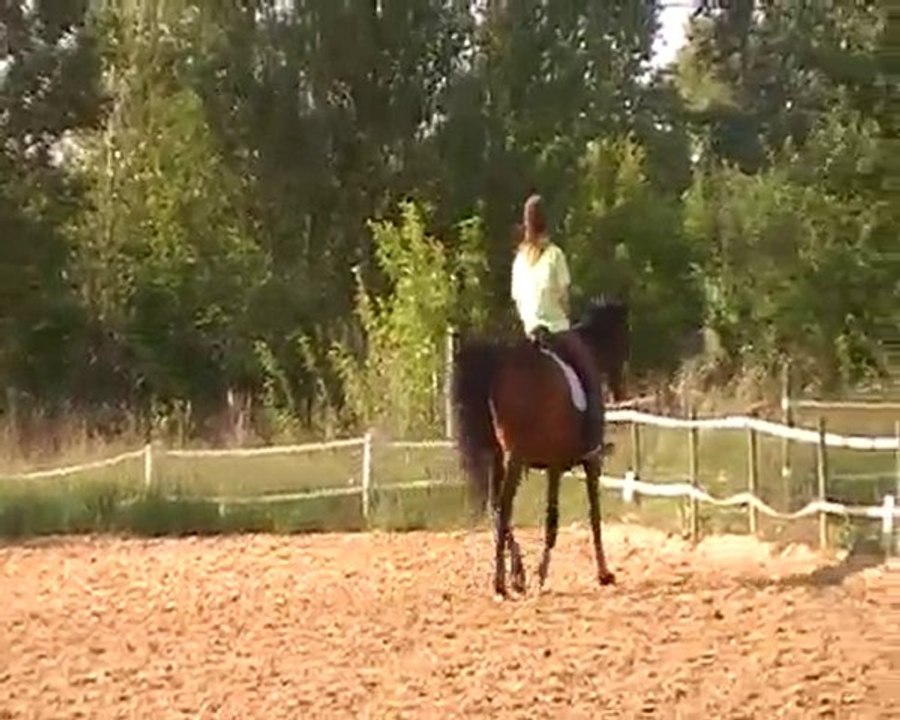 MOV034