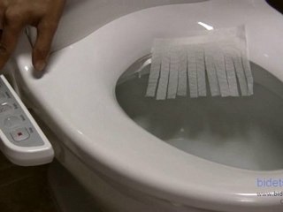 Bidet Review | Clean Sense 1500