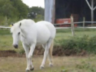 Mon Loulou en action =D