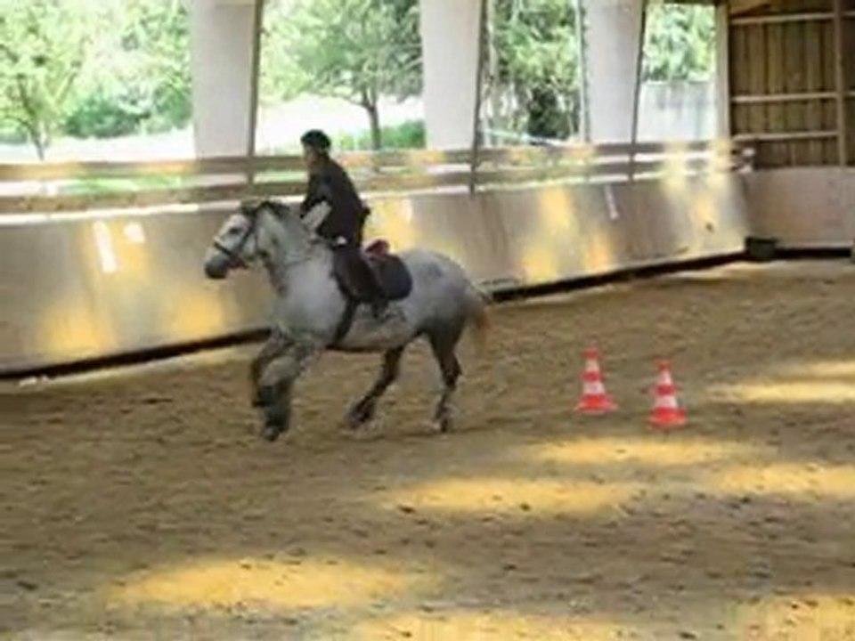 Eva au saut avec pin up
