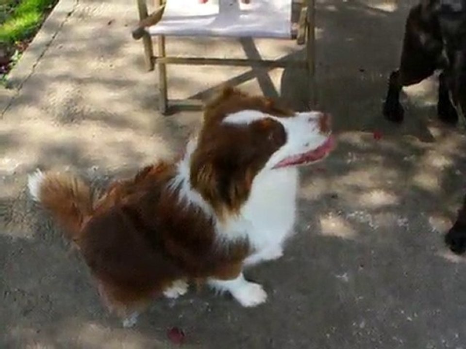 Dako mai 2010 002