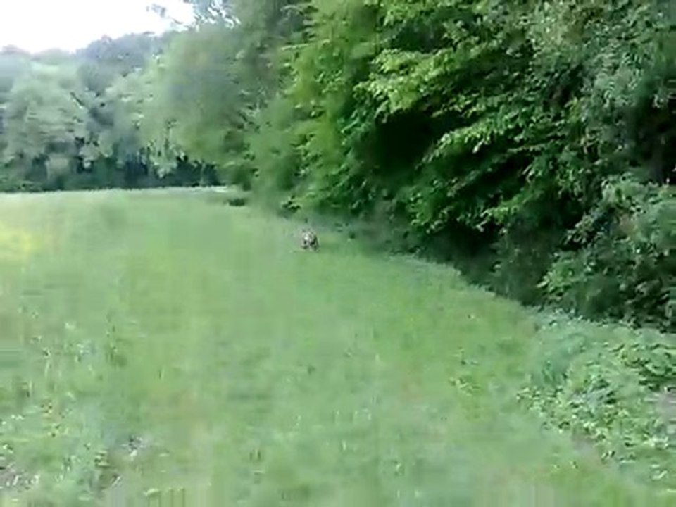 14052010038