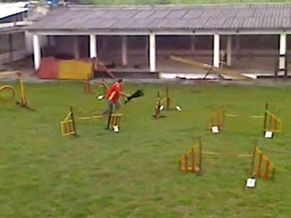 Agility Blakin Tulua Valle del Cauca