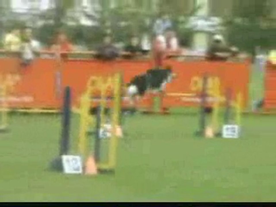 Agility Colombia