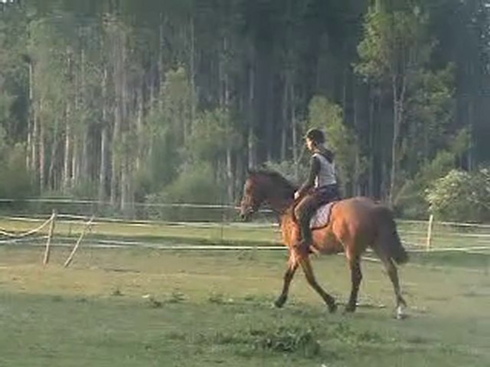 Xinou reprise