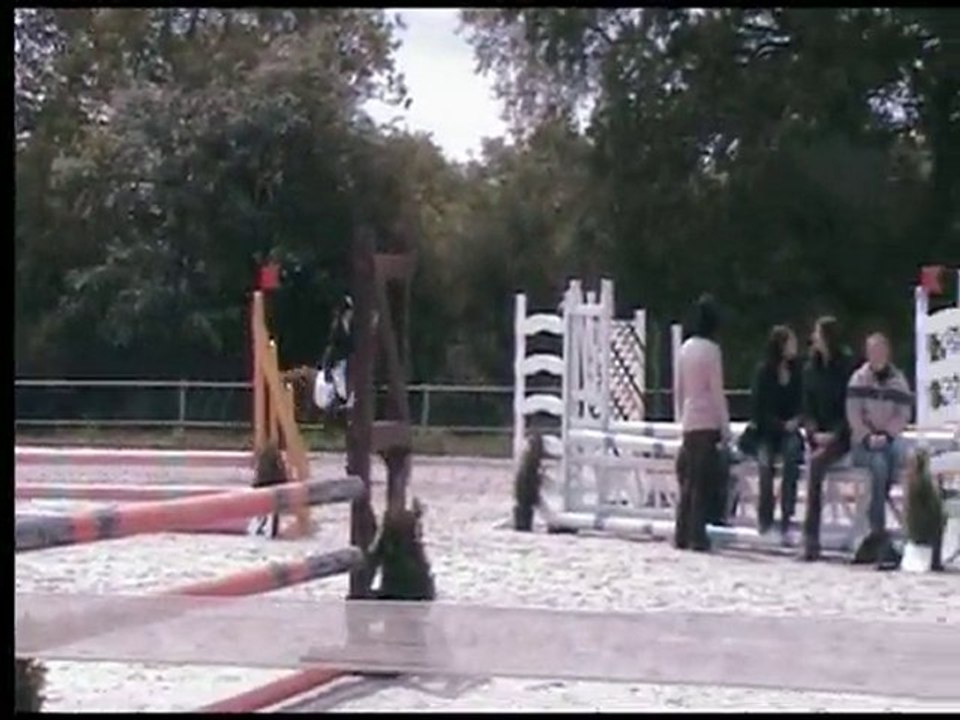 Guillemette et Havane