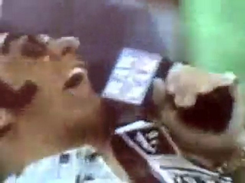 The Crock titantron