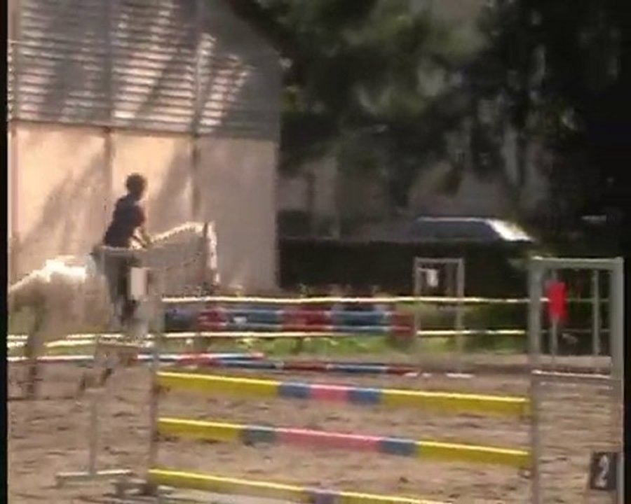 Princess au Haras de Tarbes