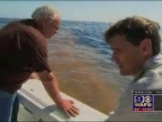 Gulf BP Oil Spill Coastal Crisis Full Report  May 5 2010-USA