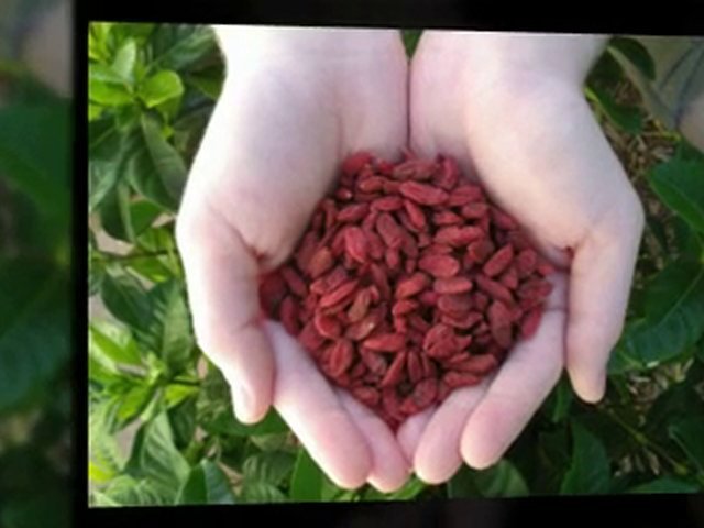 Acupuncture For Menopause