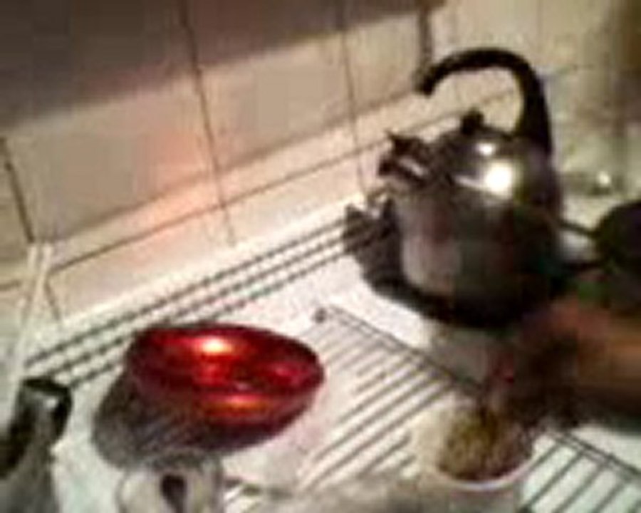 proyecto ñuca choco parte 2