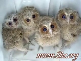 Kıpırdamayın Bizi Çekiyorlar Şiştt Oynaşma Olm =)