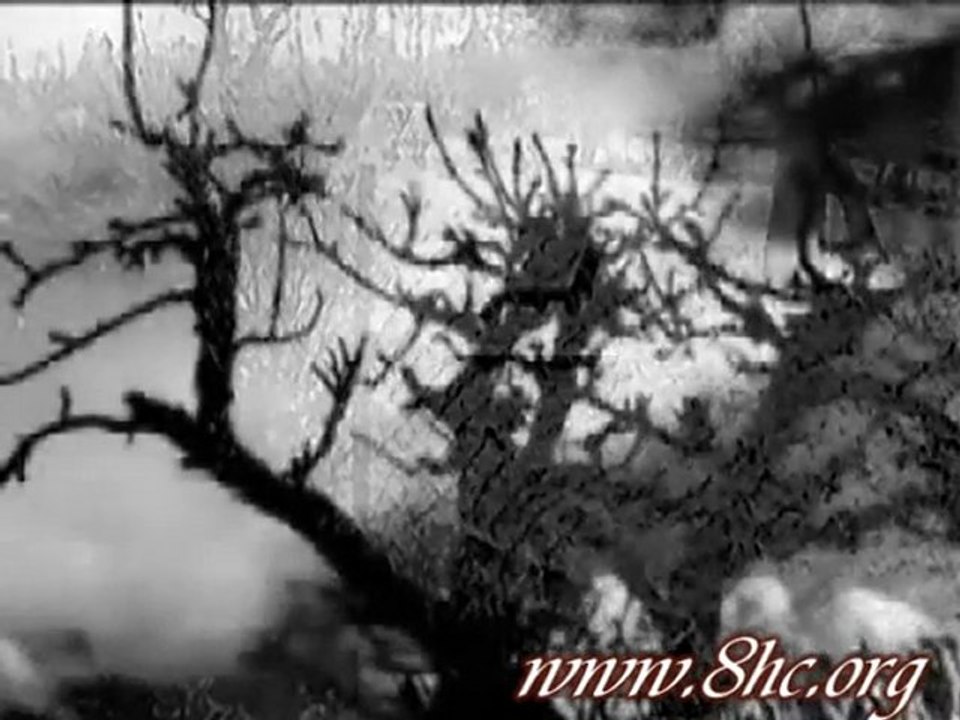 Aslı Güngör - Aşk Herşeye Değer