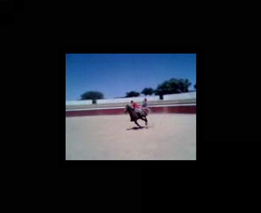 Nacho rejoneando en Rollanejo