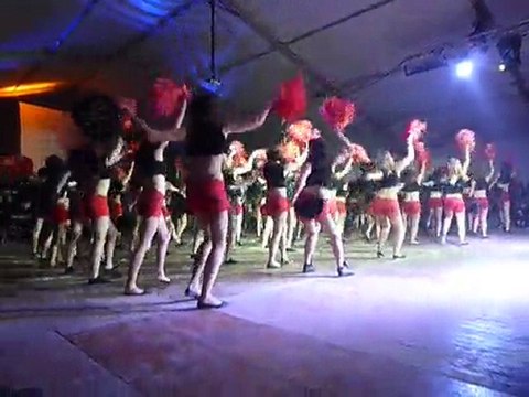 Pompom ENSAT IA 2010