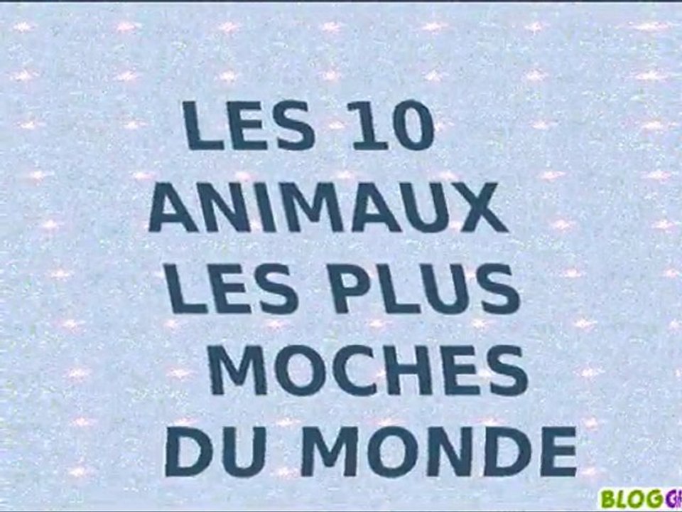 les animaux les plus moches du monde
