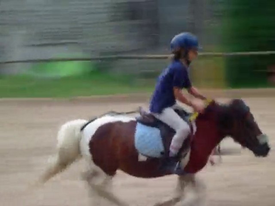 PG départemental 2010