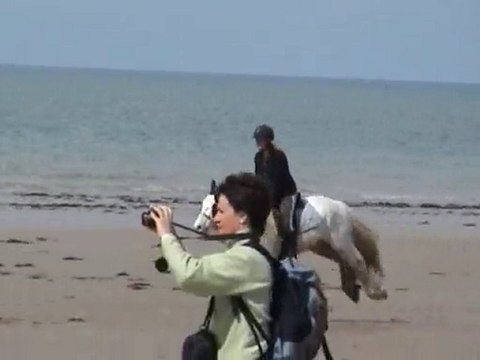 14 mai 2010 : galop à la plage