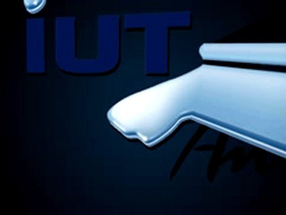 2 eme fournée titre iut