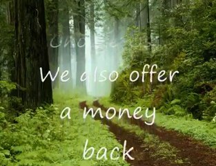 Gulf Bay Advertising Agency Inc In Wyoming Rhode Island