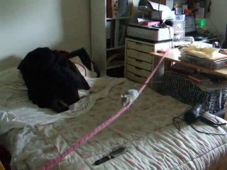 Blue et sa corde : quatrième leçon !