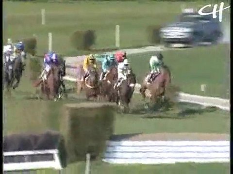 Sultan Cyborg - Méral -Steeple - 18/04/2010 G-G Vibert