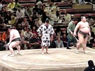 sumo 1