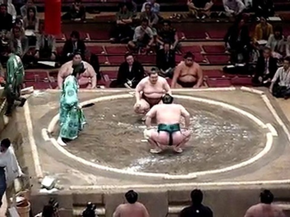 sumo 2