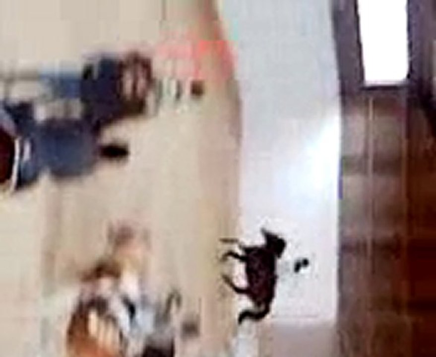 moi en cour de cso 1