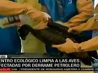 EE.UU: Ministro visita Louisiana para evaluar daños