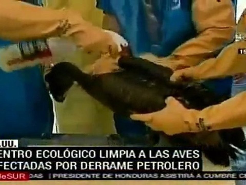 EE.UU: Ministro visita Louisiana para evaluar daños